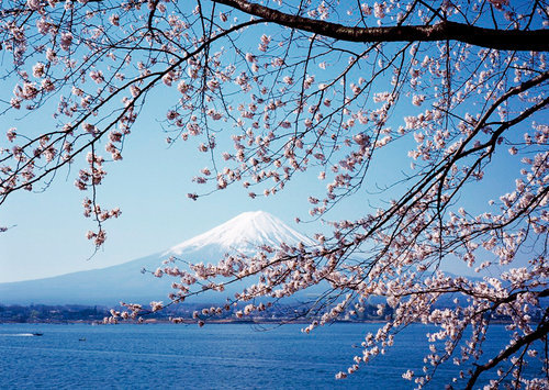 image007.jpg