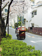 SANY0031_002.jpg