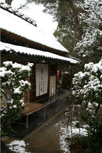 shop_winter.jpg