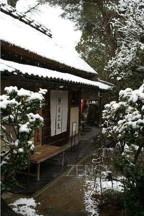 shop_winter.jpg