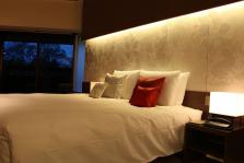 Hyatt_0049cut.jpg