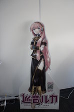 DSC05088.JPG