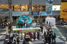 DSC05062.JPG