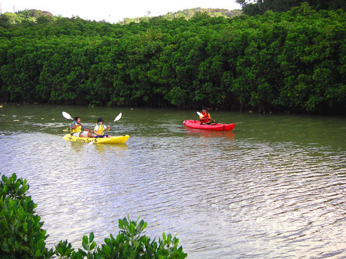 higashi village gesashi ecopark kayaking.jpg