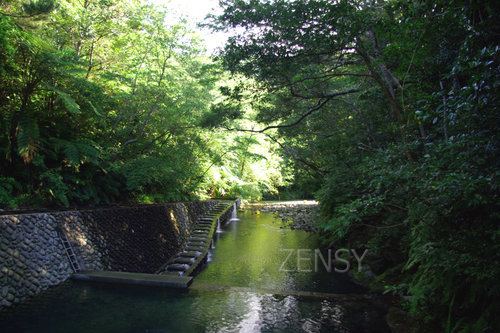 yanbaru genka river.jpg