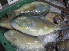 IMG_2957.JPG