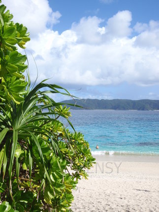 furuzamami_beach_001.JPG