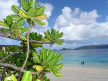 furuzamami_beach_007.JPG