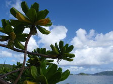 furuzamami_beach_008.JPG