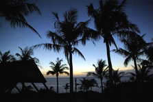 sunset3.jpg