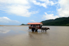 yuhu island2.jpg