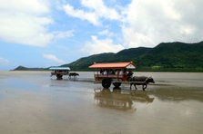 yuhu_island1.jpg