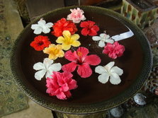 DSC01100.JPG