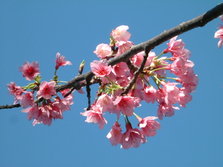 DSCF0131.JPG