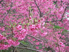 DSCN1928.JPG