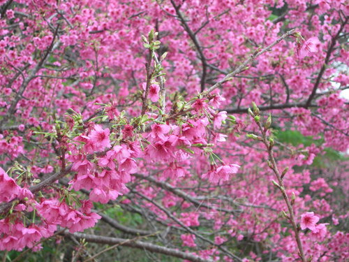 DSCN1928.JPG