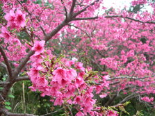 DSCN1929.JPG