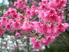 DSCN1936.JPG