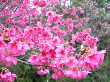 DSCN1939.JPG