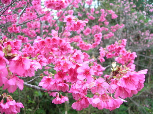 DSCN1939.JPG