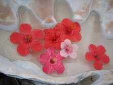 IMG_2794.JPG