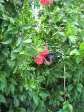 IMG_3935.JPG