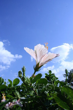 IMG_5376.JPG