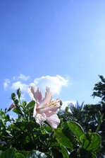 IMG_5377.JPG