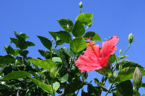 IMG_5385.JPG