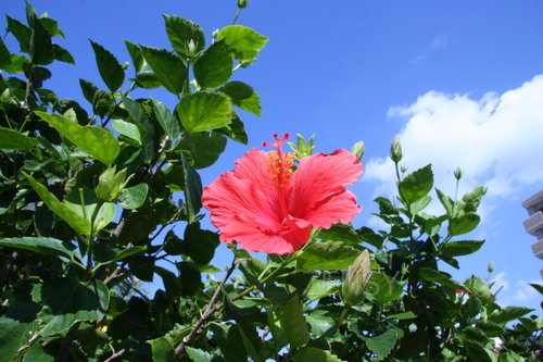 IMG_5392.JPG