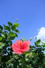 IMG_5394.JPG