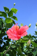 IMG_5395.JPG
