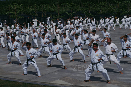karate.jpg