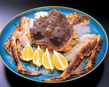 20100930_005.jpg