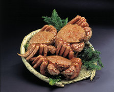 20100930_006.jpg