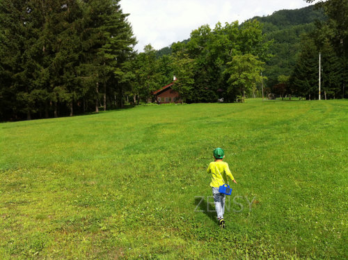 北海道的夏天，一望无际.jpg