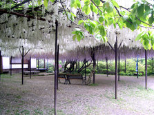 DSCN1589.jpg