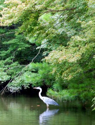 DSC_008116.jpg
