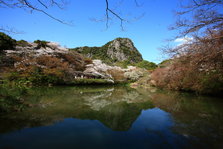 五千本の桜１.JPG