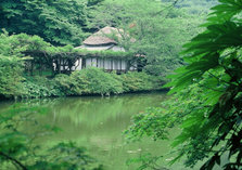夏の茶室.jpg