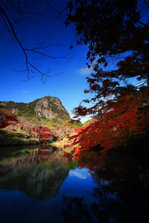 紅葉.jpg