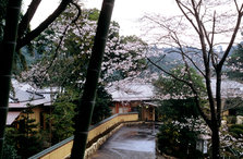 000023.jpg2.jpg