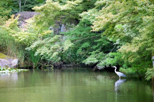 DSC_00816.jpg