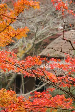 IMG_0254.JPG
