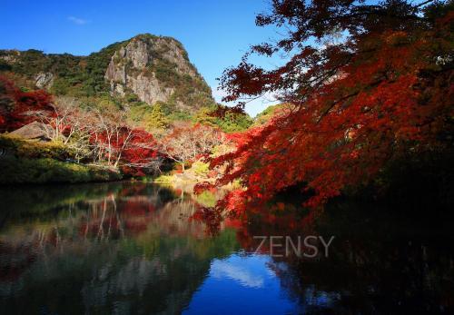 国登録記念物『御船山楽園』の紅葉.jpg