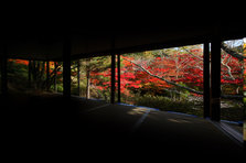 萩野尾御茶屋から望む紅葉.jpg