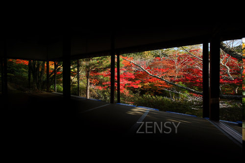 萩野尾御茶屋から望む紅葉.jpg
