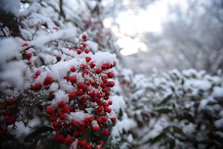 IMG_2476.JPG