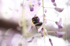 IMG_7797.JPG