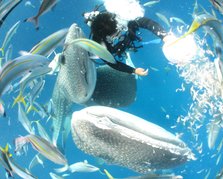 IMG_0159.JPG